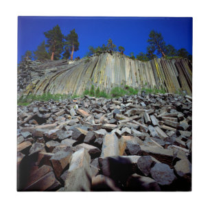 Basalt Formations of Devils Postpile Tile