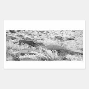 Basalt Lava Rocks in Desert, Black and White Photo Sticker