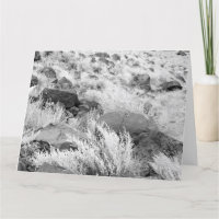 Basalt Lava Rocks Southwest Black and White Photo