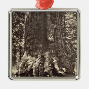 Base of the Grizzly Giant, from 'The Yosemite Book Metal Ornament