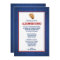 Baseball Bar Mitzvah Red Blue Invitations