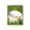 Baseball canvas print