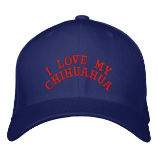 Baseball caps with witty, funny and salty sayings