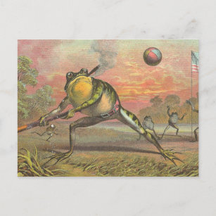 Baseball Frog Postcard