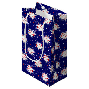 Baseball Gift Bag