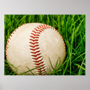 Baseball in the Summer Grass Poster