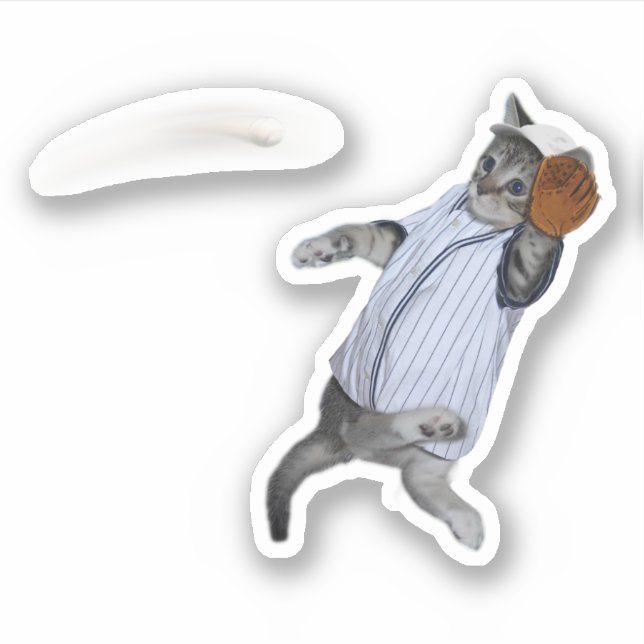Baseball Kitten Wildcats  (Front)