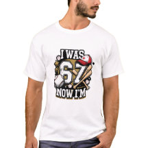 Baseball Lover I Was 67 Now I'm Fun Tee for Fans