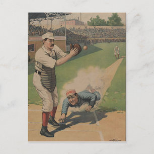 Baseball Poster Postcard