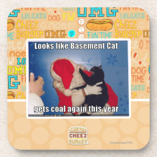 Basement Cat gets coal Coaster
