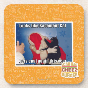 Basement Cat gets coal Coaster
