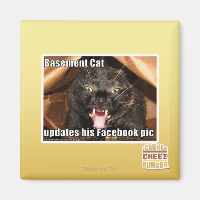 Basement Cat Magnet (Front)