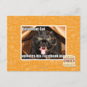 Basement Cat Postcard