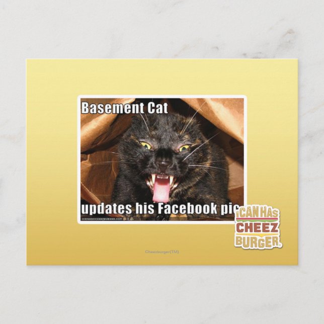 Basement Cat Postcard (Front)