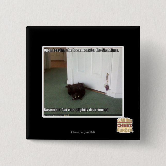 Basement Cat, slightly disoriented 2 Inch Square Button (Front)