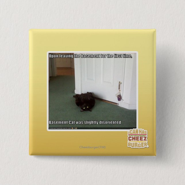 Basement Cat, slightly disoriented 2 Inch Square Button (Front)