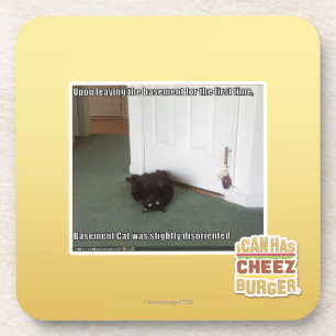 Basement Cat, slightly disoriented Coaster