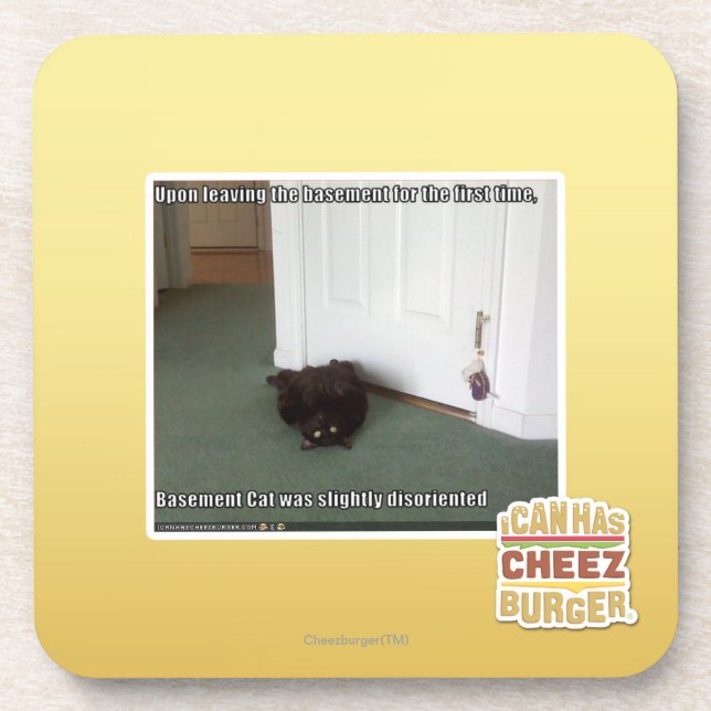 Basement Cat, slightly disoriented Coaster (Front)