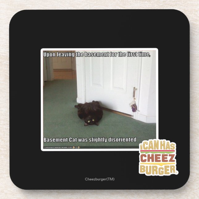 Basement Cat, slightly disoriented Coaster (Front)
