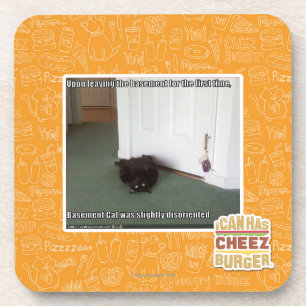 Basement Cat, slightly disoriented Coaster