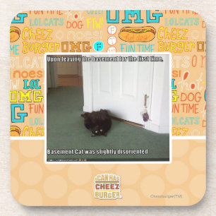 Basement Cat, slightly disoriented Coaster