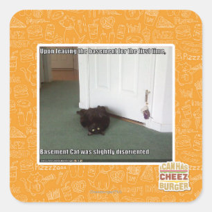 Basement Cat, slightly disoriented Square Sticker