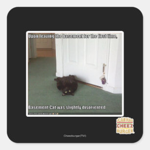 Basement Cat, slightly disoriented Square Sticker
