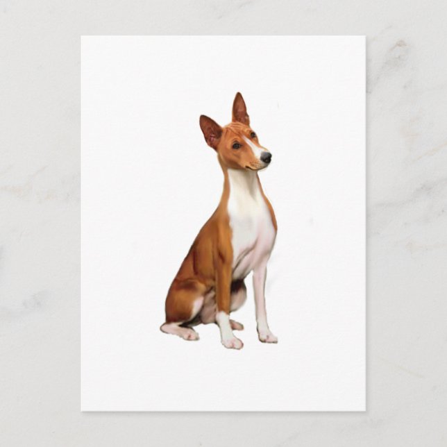 Basenji (C) Postcard (Front)
