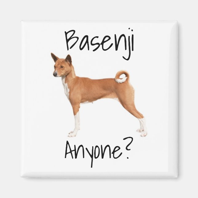 Basenji Coaster Magnet (Front)