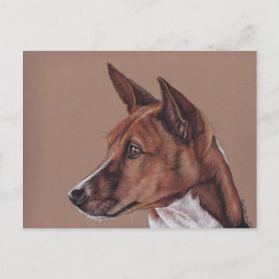 Basenji Coloured Pencil Art  Postcard