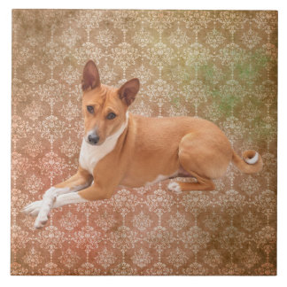 Basenji Dog  Tile