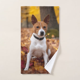 Basenji en automne Feuilles automne Inspiration