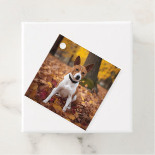 Basenji in Autumn Leaves Fall Inspire  Favour Tags