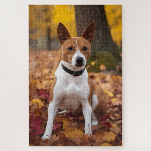 Basenji in Autumn Leaves Fall Inspire  Jigsaw Puzzle