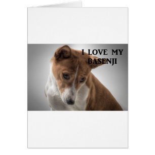 basenji love w pic