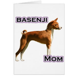 Basenji Maman 4