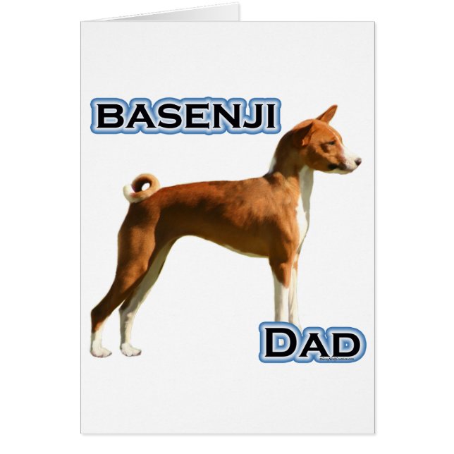 Basenji Papa 4 (Devant)