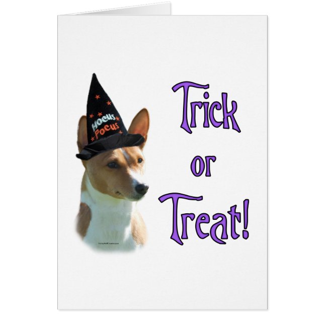 Basenji Trick (Devant)