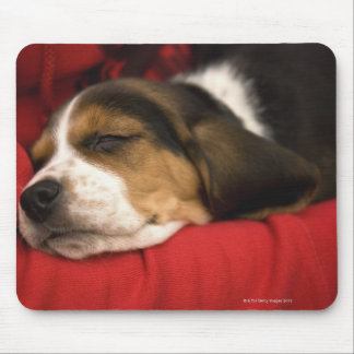 Bashaw, Alberta, Canada Mouse Pad