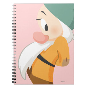 Bashful 2 notebook