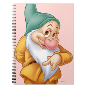 Bashful 3 notebook