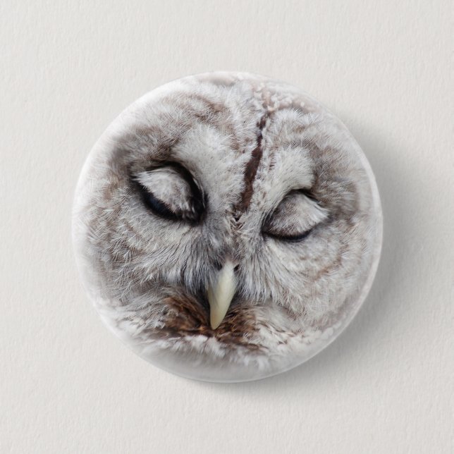 Bashful Barred Owl 2 Inch Round Button (Front)