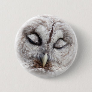 Bashful Barred Owl 2 Inch Round Button