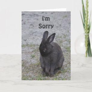 Bashful Bunny Rabbit Card