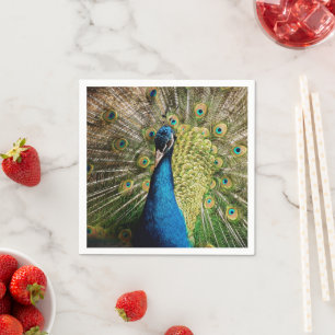Bashful Peacock Napkin
