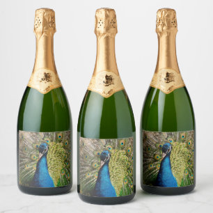 Bashful Peacock Sparkling Wine Label