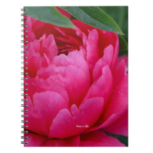 Bashful Pink Peony Notebook