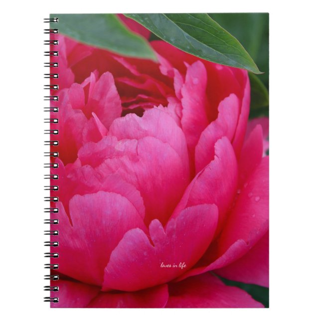 Bashful Pink Peony Notebook (Front)