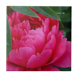 Bashful Pink Peony Tile