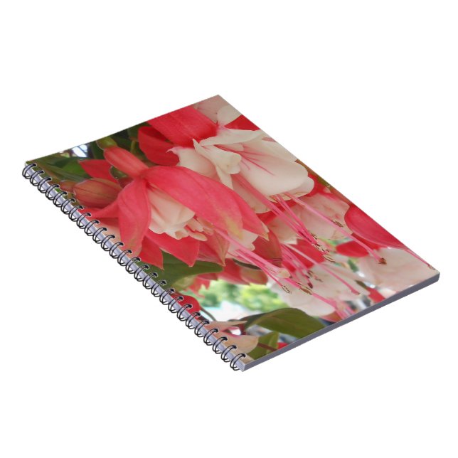 Bashkirtseff Notebook (Right Side)